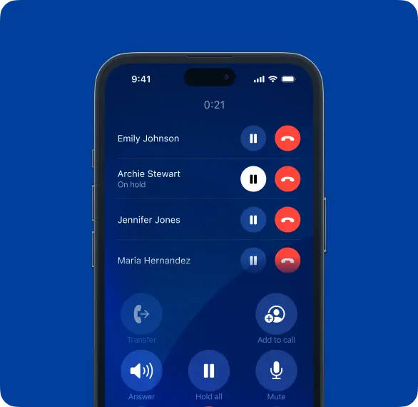 Conference call interface